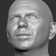 19.jpg Pitbull bust 3D printing ready stl obj formats