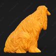 110-Afghan_Hound_Pose_05.jpg Afghan Hound Dog 3D Print Model Pose 05