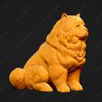 3751-Chow_Chow_Rough_Pose_04.jpg Chow Chow Rough Dog 3D Print Model Pose 04