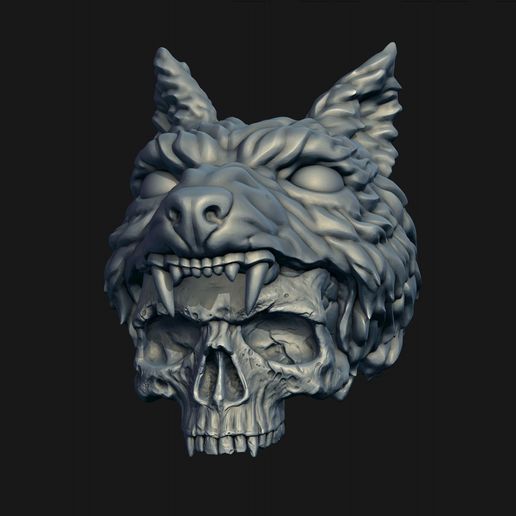 1.jpg Skull wolf scalp