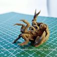 20231223_234939.jpg Mirelurk - Fallout creatures - high detailed even before painting