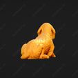 924-Basset_Fauve_de_Bretagne_Pose_08.jpg Basset Fauve de Bretagne Dog 3D Print Model Pose 08