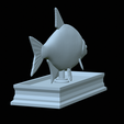 Bream-statue-27.png fish Common bream / Abramis brama statue detailed texture for 3d printing