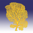 seafan 2.png Seafan coral
