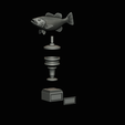 peacock-bass-trophy-3-1-2-15.png Peacock bass (Cichla ocellaris) fish trophy cup 2 for 3d printing