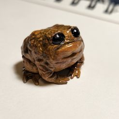 20220606_205603.jpg STL file Chubby Toad・3D printing idea to download