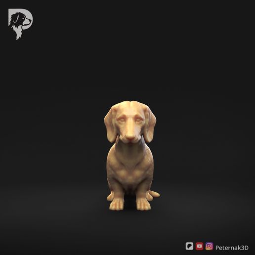 Dachshund-Miniature-Smooth-Haired-Pose-04-Dog-3D-Print-10s.jpeg Dachshund Miniature Smooth Haired Pose 04