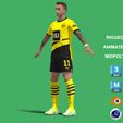 q8.jpg 3D Rigged Marcos Reus Borussia Dortmund 2024