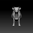 cow3.jpg cow - cow for 3d print - cow toy model - cow realistic