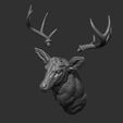 52.jpg White tailed deer bust
