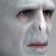 untitled.324.jpg Lord Voldemort bust ready for full color 3D printing