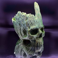 IMG_1852.jpg Archivo STL Maceta con calavera de Groot・Objeto imprimible en 3D para descargar