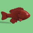 bluegill-v51-Kopie.jpg Bluegill