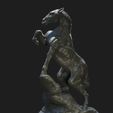 horse-6.jpg Stallion Ecorchet Statue