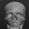 skull3_display_large.jpg Skull thing