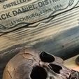 PSX_20221224_163810.jpg Skull on Jack Daniel's
