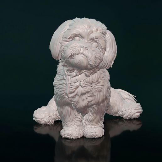 Shih Tzu 3D Print Model - High Detail