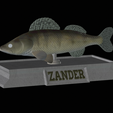 Zander-money-5.png fish sculpture of a zander / pikeperch with storage space for 3d printing