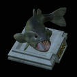 Bass-stocenej-16.png fish bass trophy statue detailed texture for 3d printing
