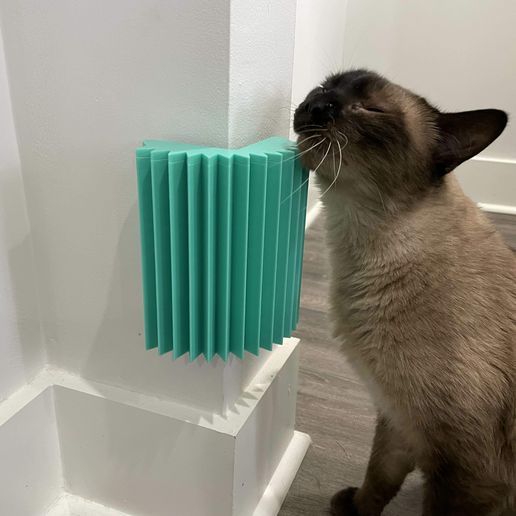 🐱 Cat Face Scratcher Groomer・ 3D File for ・Cults