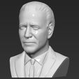 3.jpg Joe Biden bust ready for full color 3D printing
