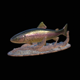 pstruh-klacky-1.png rainbow trout 2.0 underwater statue detailed texture for 3d printing