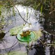 Grenouille-Frog-grand-mechant-renard-figurine-No_Nouix-store-03.jpg Frog on its lily pad