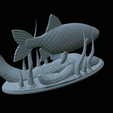 Perlin-18.png fish common rudd statue detailed texture for 3d printing