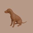 Bedlington_Terrier_0013.jpg Bedlington Terrier Dog in Sitting Pose