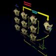 pelvis-fracture-classifications-3d-model-blend-25.jpg Pelvis fracture classifications 3D model