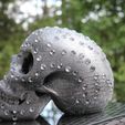 IMG_4820.JPG Skull with diamonds