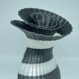 DSC_0005.jpg Tapered Monocoiled Vase