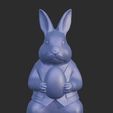 WhatsApp-Image-2026-01-17-at-23.25.08-2.jpeg Easter Guardian Rabbit