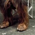 sv59o1pxjzj012.jpg Chewbacca Toes Feet cosplay