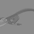 0015.png Fin Whale Skeleton – Realistic Marine Anatomy 3D Model