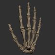 skeleton-hand-3d-model-obj-fbx-stl-8.jpg Skeleton Hand