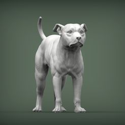 pit-bull1.jpg 3D file Pitbull 3D print model・3D printing model to download