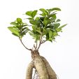 Vase_01_Green_03.jpg Macetero - Planter - - Jardinera impresa en 3D - 3D printed planter