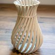 WeirdVase_Print_04.jpg Free STL file Weird Twisty Vase・3D printable object to download