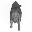 3D-Print-Ready-Cow-Eating-Pose-04.jpg Food Eating Cow 3D Print Model
