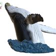 Humpback-Whale-Head-off-the-Water-color-8.jpg Humpback Whale Head off the Water 3D printable model