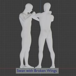 Swan with Broken Wings THAI BOXING ARTS : #12 Swan with Broken Wings