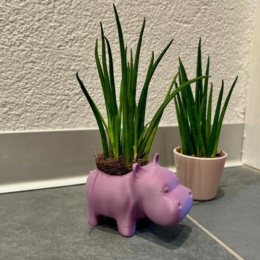 WhatsApp-Image-2025-09-22-at-17.00.35.jpeg Little Hippo