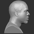 9.jpg Ice Cube bust 3D printing ready stl obj formats