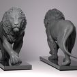Lion-4.jpg Lions King