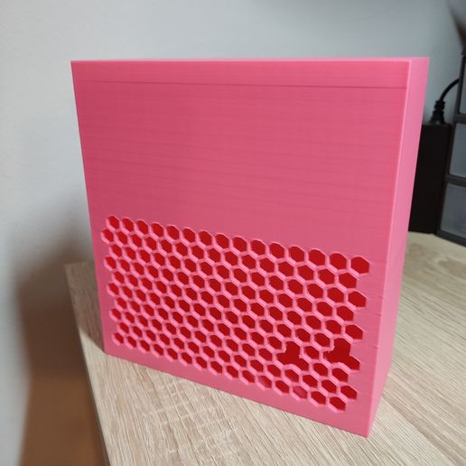 Piggy Bank / Money Box