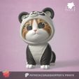 panda_01.jpg Costumed Cat Panda