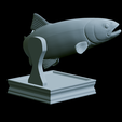 Rainbow-trout-trophy-30.png rainbow trout / Oncorhynchus mykiss fish in motion trophy statue detailed texture for 3d printing