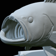 White-grouper-open-mouth-1-56.png fish white grouper / Epinephelus aeneus trophy statue detailed texture for 3d printing