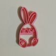 IMG_20210509_213355-2.jpg STL file Rabbit cutter・3D printer model to download